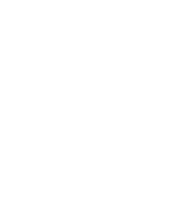 artisanale